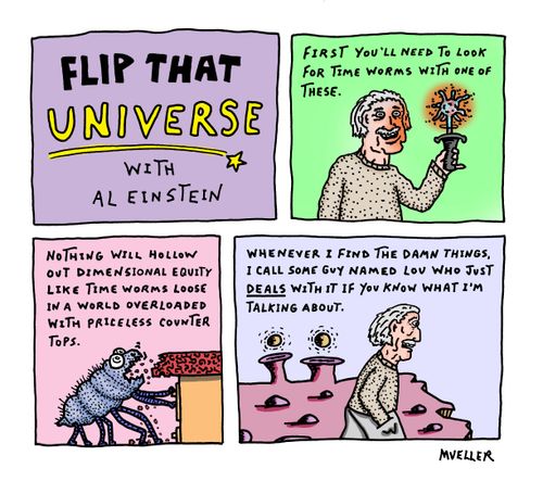 Flip That Universe with Albert Einstein