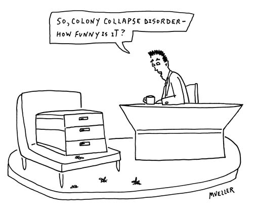 "So, colony collapse disorder - how funny is it?"