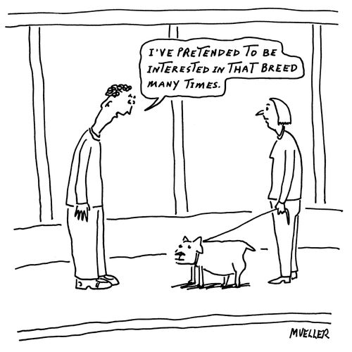 "I've pretended to be interested in that breed many times."