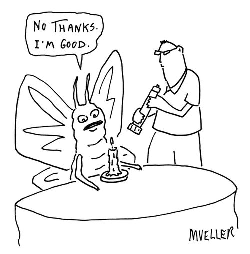 "No thanks. I'm good."