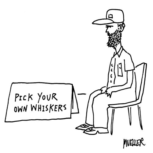 Pick your own whiskers.