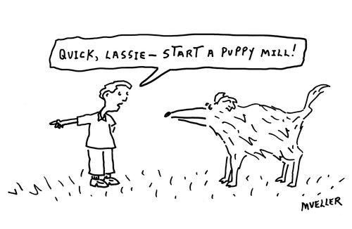 "Quick Lassie,-- start a puppy mill!"