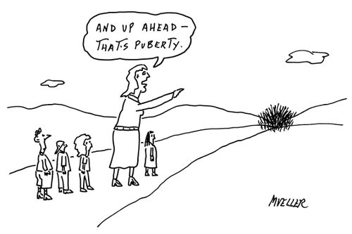 "And up ahead - that's puberty."