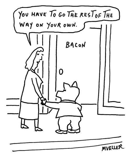 "You have to go the rest of the way on your own."