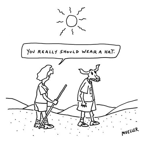 "You should really wear a hat."