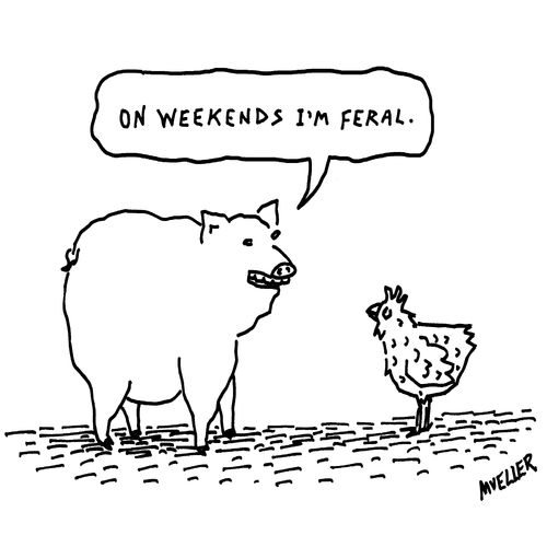 "On weekends I'm feral."