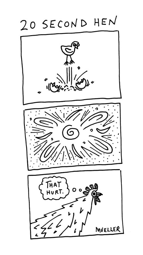 20 Second Hen