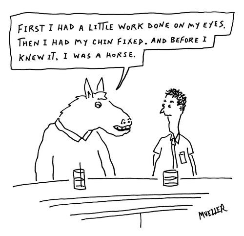 "First I had a little work done on my eyes, then I had my chin fixed, and before I knew it, I was a horse."