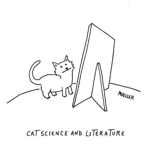 Cat science and literature
