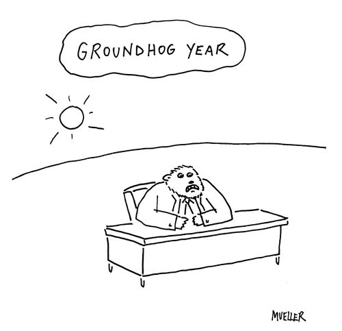Groundhog Year