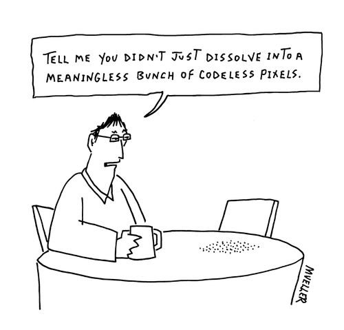 "Tell me you didn't just dissolve into a meaningless bunch of codeless pixels."