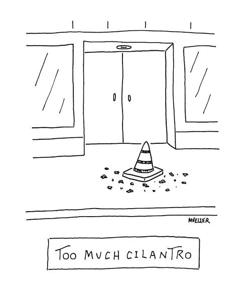 Too much cilantro