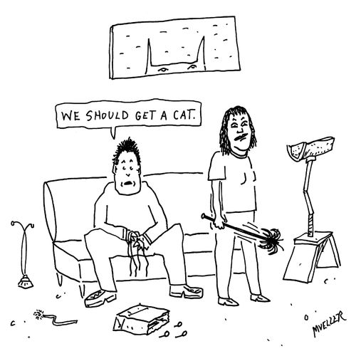 "We should get a cat."