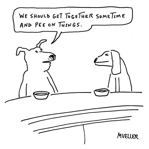 "We should get together sometime and pee on things."