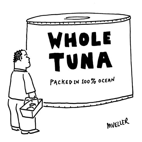 Whole tuna packed in 100% ocean