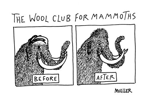 The wool club for mammoths.