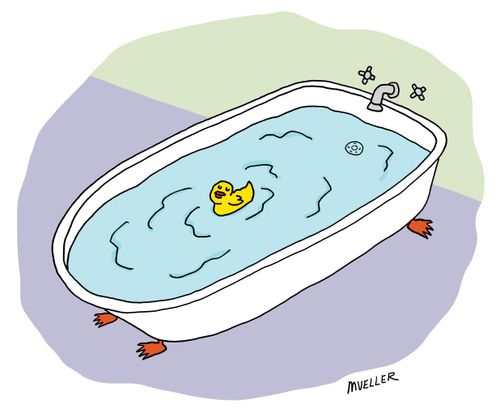 A duck in a bathtub