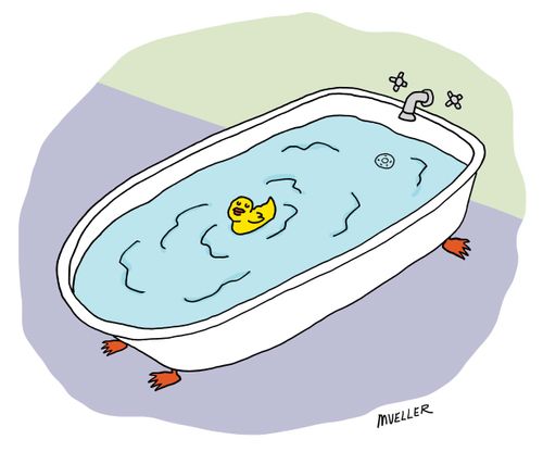 Duck in a bathtub