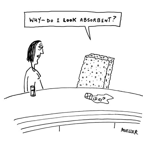 "Why - do I LOOK absorbent?"