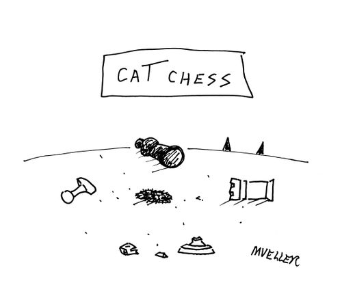 Cat chess
