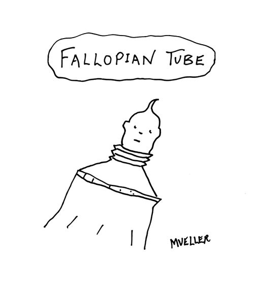 Fallopian Tube.