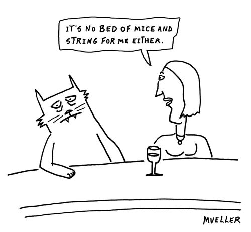 "It's no bed of mice and string for me either."