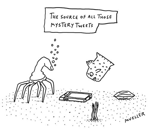 "The source of all those mystery tweets."