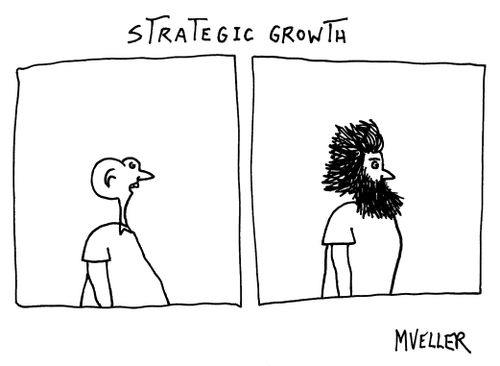 Strategic Growth.