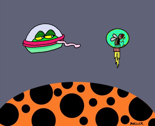 Frog in space