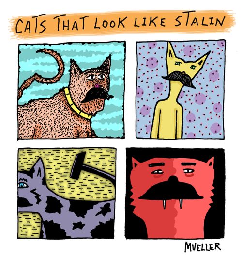 Cats that look like Stalin.