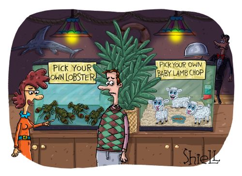 Pick Your Own Lobster/Pick Your Own Baby Lamb Chop