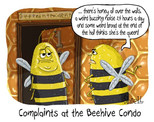 Complaints at the Beehive Condo