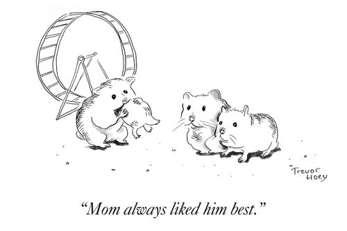 "Mom always liked him best."