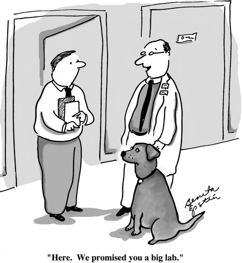 "Here. We promised you a big lab."