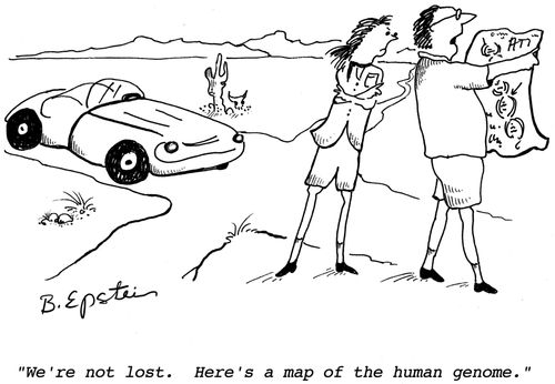 "We're not lost. Here's a map of the human genome."