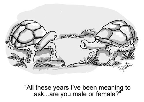 "All these years I've been meaning to ask. . . are you male or female?"