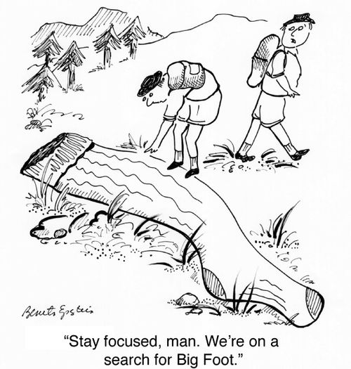 "Stay focused, man. We're on a search for Big Foot."