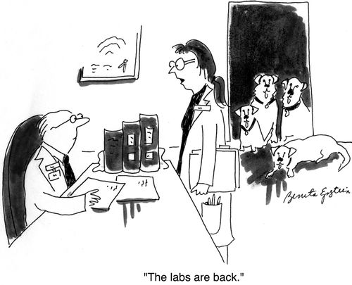 "The labs are back."