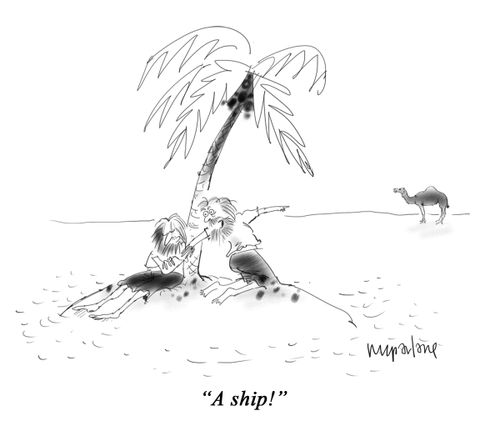 "A ship!"