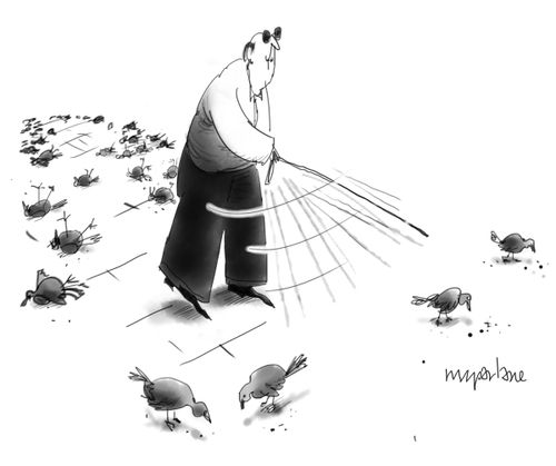 A visually impaired man with a white cane accidentally kills pigeons