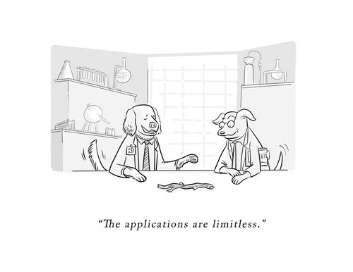 "The applications are limitless."