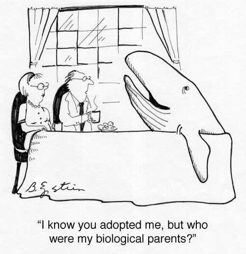 "I know you adopted me, but who were my biological parents?"