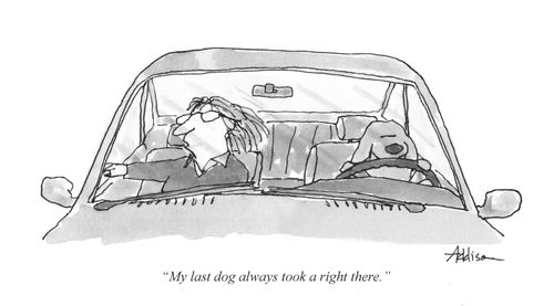 "My last dog always too a right there."