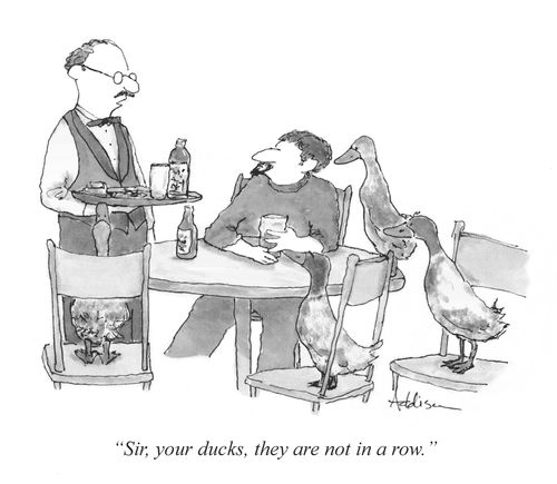 "Sir, your ducks, they are not in a row."
