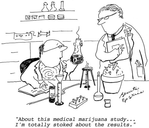 "About this medical marijuana study. . . I'm totally stoked about the results."