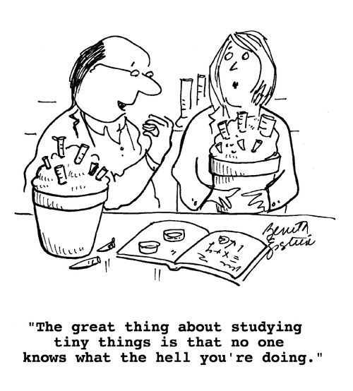 "The great thing about studying tiny things is that no one knows what the hell you're doing."