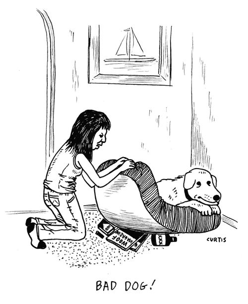 Bad Dog!