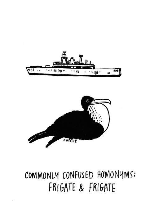 Commonly confused homonyms: Frigate and Frigate