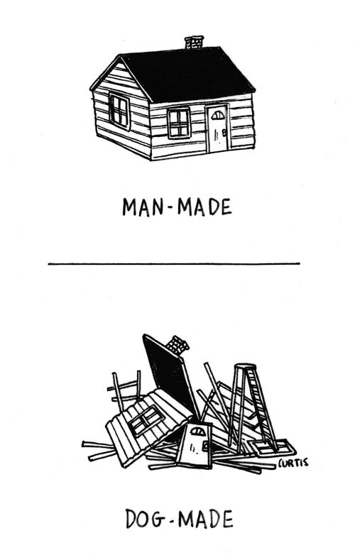 Man-made vs dog-made