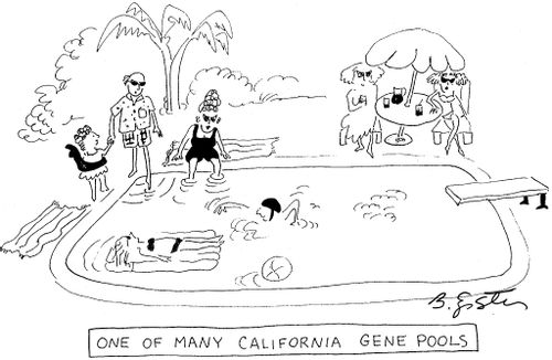 One of Many California Gene Pools